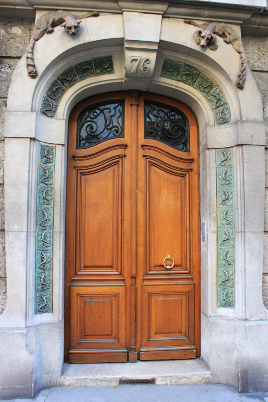 Chien, chat et salamandres