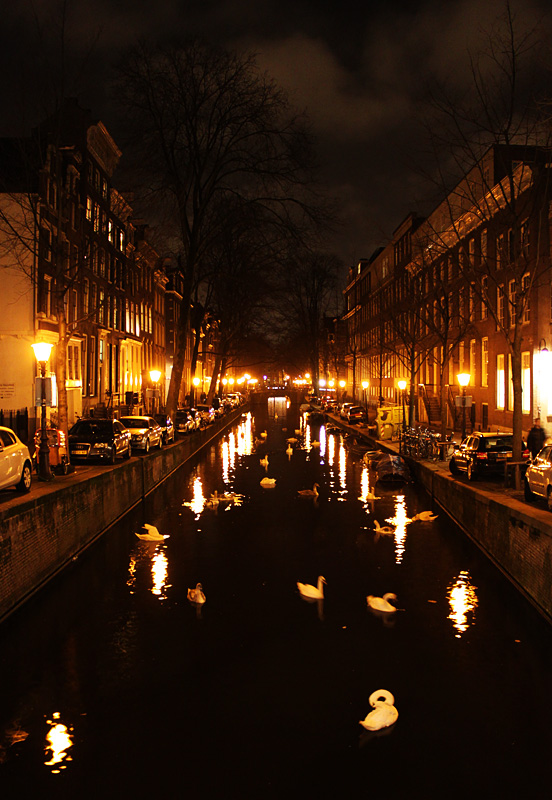 Turn Loose The Swans