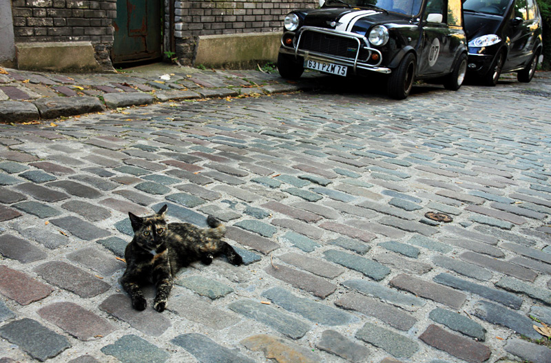 Mystique Nonchalance