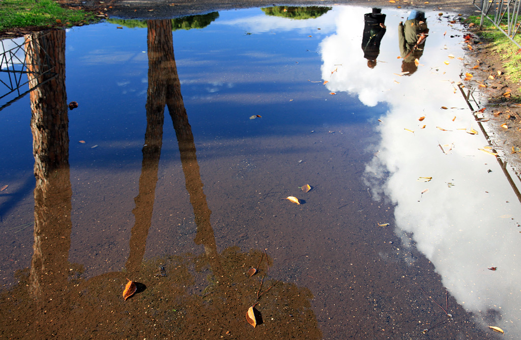 Reflets d'une Réminiscence