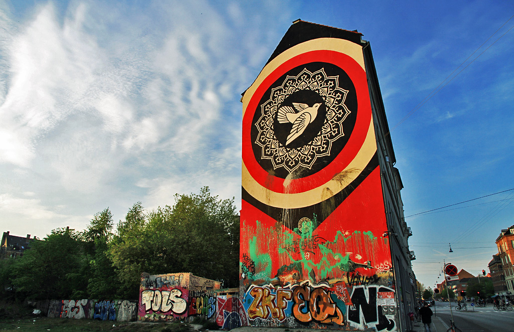 La colombe prise pour cible